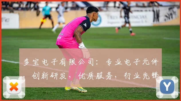 多宝电子有限公司：专业电子元件，创新研发，优质服务，行业先锋，值得信赖