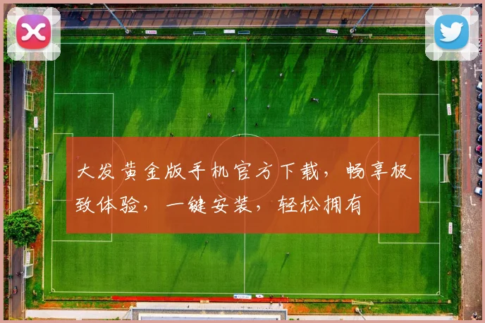 大发黄金版手机官方下载，畅享极致体验，一键安装，轻松拥有