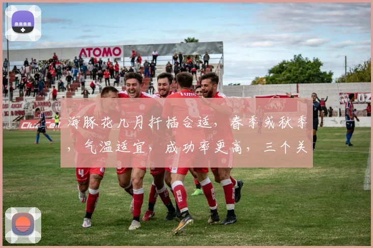 海豚花几月扦插合适，春季或秋季，气温适宜，成功率更高，三个关键点必看