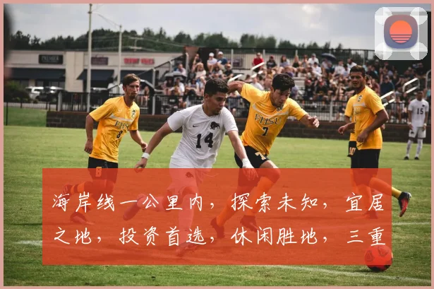 海岸线一公里内，探索未知，宜居之地，投资首选，休闲胜地，三重优势，不容错过。
