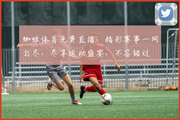 蜘蛛体育免费直播，精彩赛事一网打尽，尽享运动盛宴，不容错过